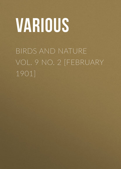 Birds and Nature Vol. 9 No. 2 [February 1901]
