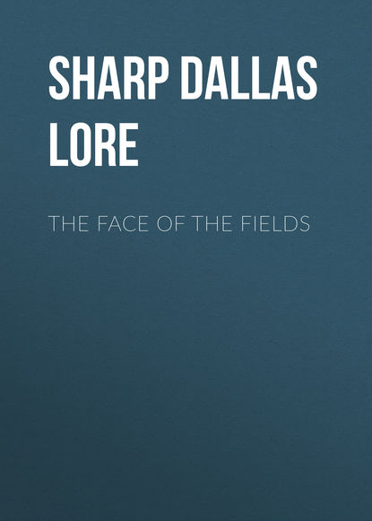 The Face of the Fields (Sharp Dallas Lore). 