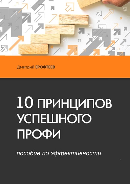 Дмитрий Ерофтеев — 10 принципов успешного профи. Пособие по эффективности