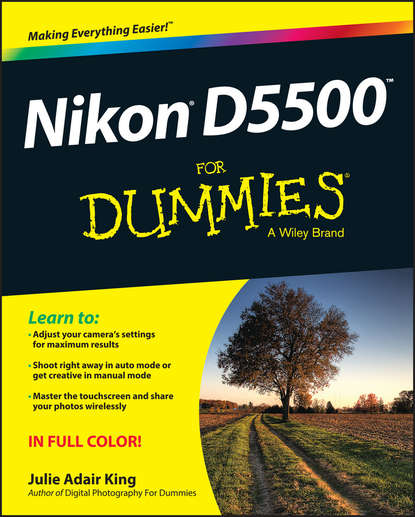 Julie Adair King - Nikon D5500 For Dummies