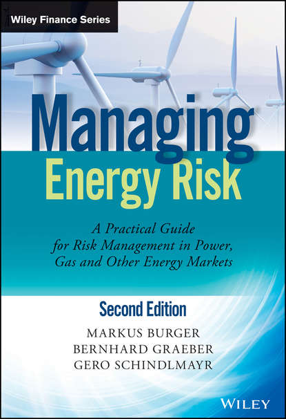 Markus  Burger - Managing Energy Risk. An Integrated View on Power and Other Energy Markets