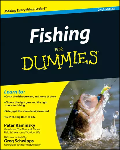 Обложка книги Fishing for Dummies, Peter  Kaminsky