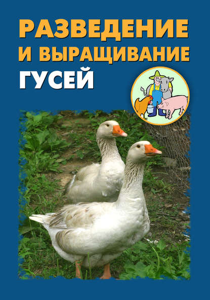 Илья Мельников — Разведение и выращивание гусей