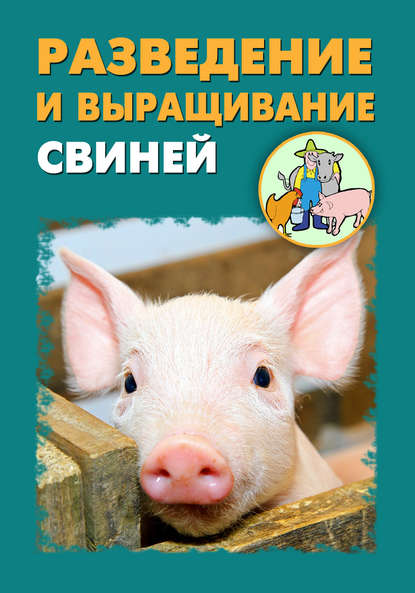Илья Мельников — Разведение и выращивание свиней