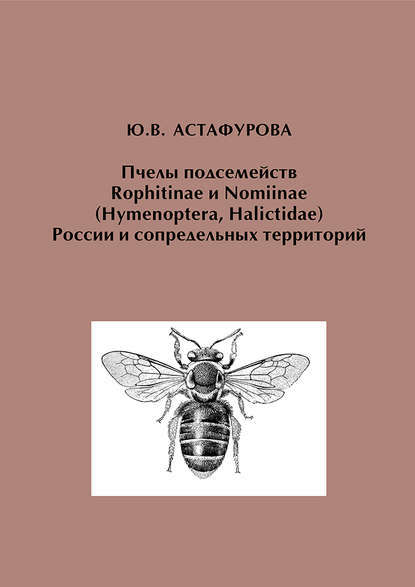Ю. В. Астафурова - Пчелы подсемейств Rophitinae и Nomiinae (Hymenoptera, Halictidae) России и сопредельных территорий