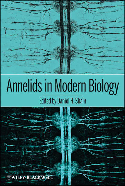Daniel Shain H. - Annelids in Modern Biology