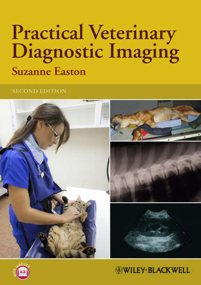 Suzanne  Easton - Practical Veterinary Diagnostic Imaging