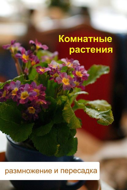 Илья Мельников — Комнатные растения. Размножение и пересадка
