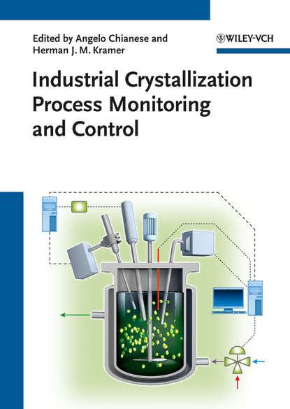 Industrial Crystallization Process Monitoring and Control (Kramer Herman J.). 