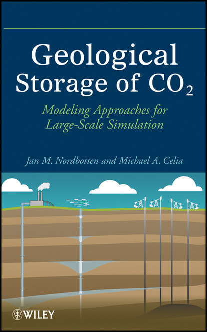 Geological Storage of CO2. Modeling Approaches for Large-Scale Simulation