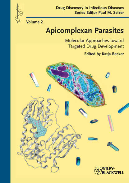 Apicomplexan Parasites. Molecular Approaches toward Targeted Drug Development - Selzer Paul M.