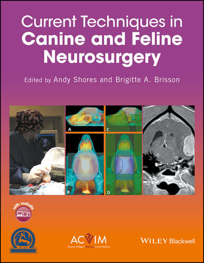 Группа авторов - Current Techniques in Canine and Feline Neurosurgery