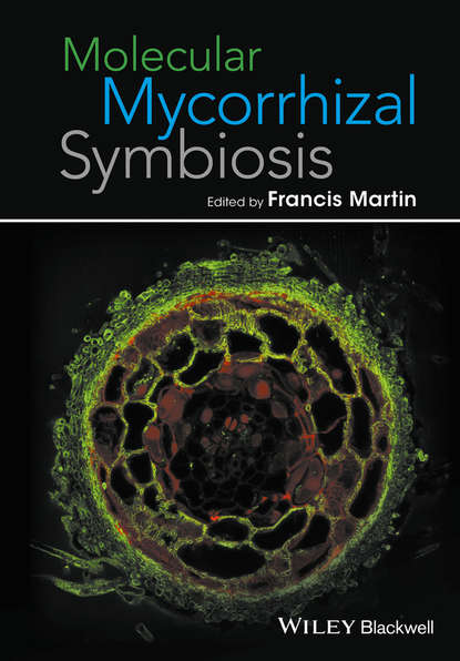 Molecular Mycorrhizal Symbiosis - Группа авторов