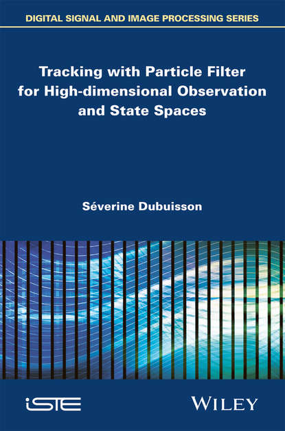 Tracking with Particle Filter for High-dimensional Observation and State Spaces - Séverine Dubuisson