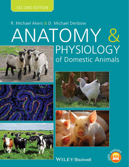 R. Michael Akers - Anatomy and Physiology of Domestic Animals