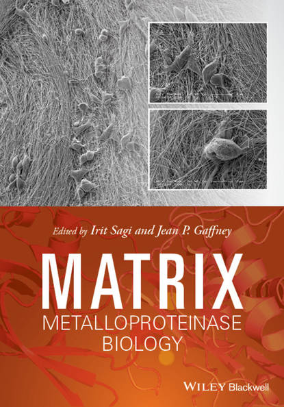 Группа авторов - Matrix Metalloproteinase Biology