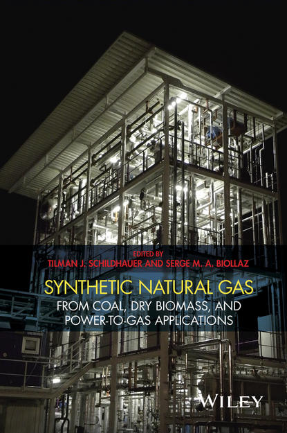 Группа авторов - Synthetic Natural Gas