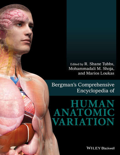 Группа авторов - Bergman's Comprehensive Encyclopedia of Human Anatomic Variation