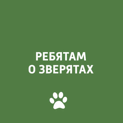 

Неизвестное о дельфинах