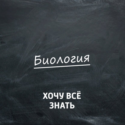 

Маскировка в природе