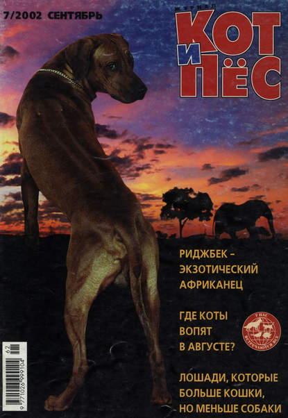 Группа авторов — Кот и Пёс №07/2002