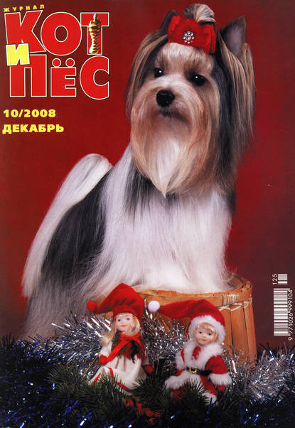 Кот и Пёс №10/2008 (Группа авторов). 2008г. 