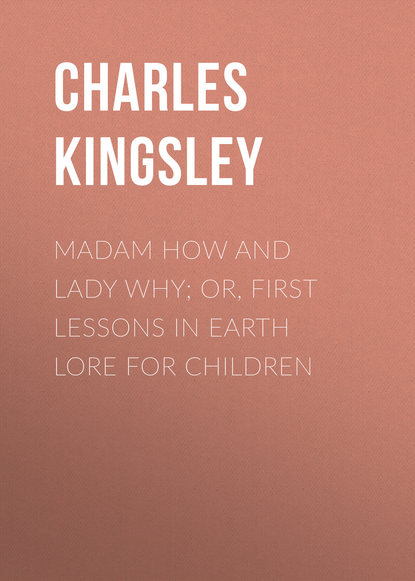 Madam How and Lady Why; Or, First Lessons in Earth Lore for Children - Charles Kingsley