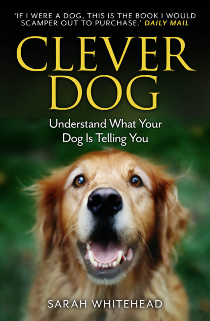Sarah Whitehead — Clever Dog: Understand What Your Dog is Telling You