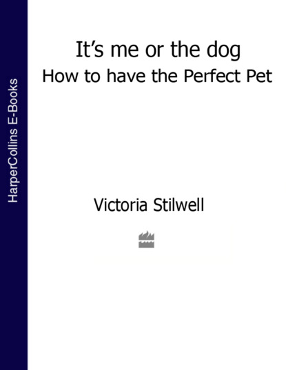 Its Me or the Dog: How to have the Perfect Pet