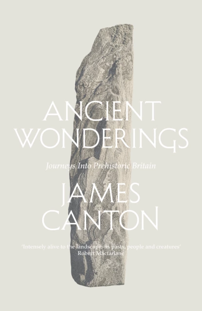 Обложка книги Ancient Wonderings: Journeys Into Prehistoric Britain, James  Canton