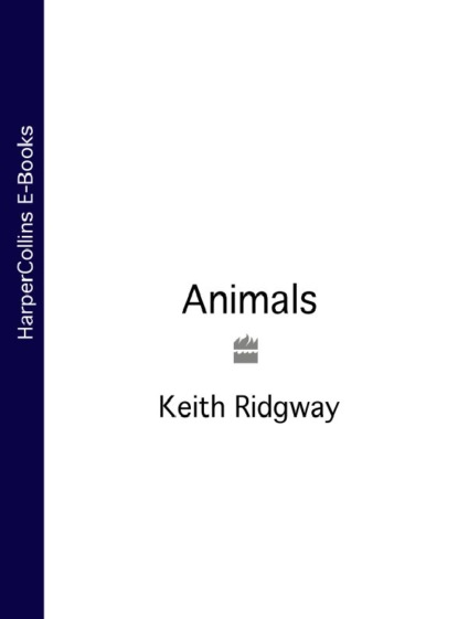 Keith  Ridgway - Animals