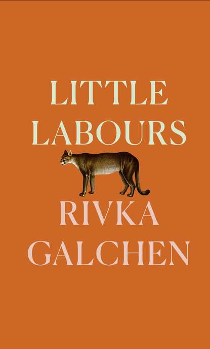 Little Labours - Ривка Голчен