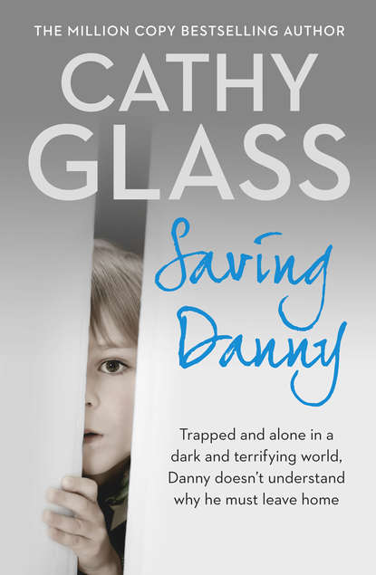 Saving Danny - Cathy Glass