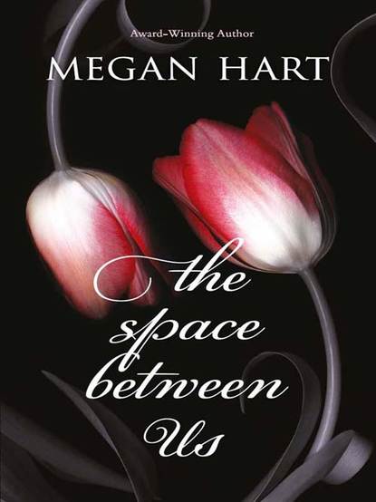 Megan Hart - The Space Between Us
