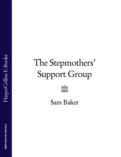 Sam  Baker - The Stepmothers’ Support Group