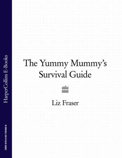 The Yummy Mummys Survival Guide