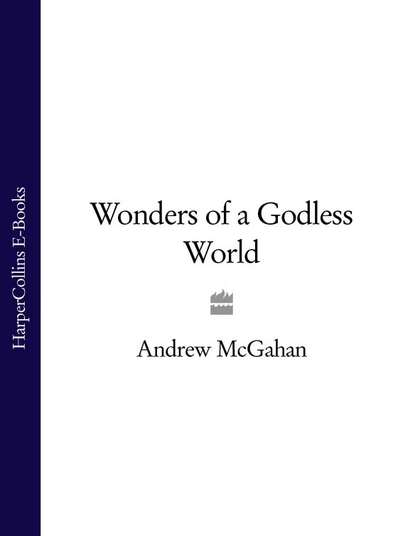 Wonders of a Godless World (Andrew  McGahan). 