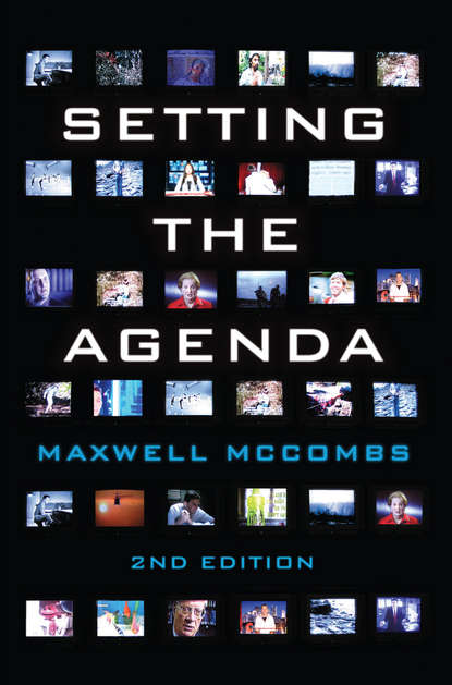 Maxwell  McCombs - Setting the Agenda. Mass Media and Public Opinion
