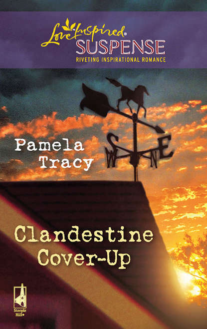 Pamela  Tracy - Clandestine Cover-Up