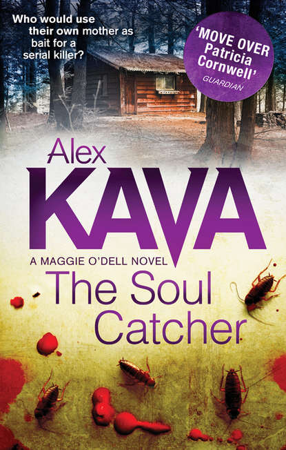 Alex  Kava - The Soul Catcher