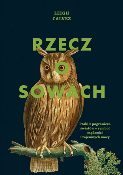 

Rzecz o sowach