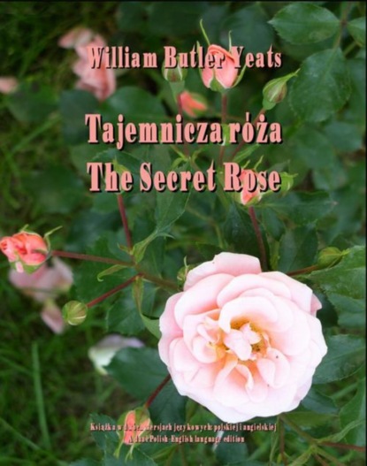 William Butler Yeats — Tajemnicza r?ża