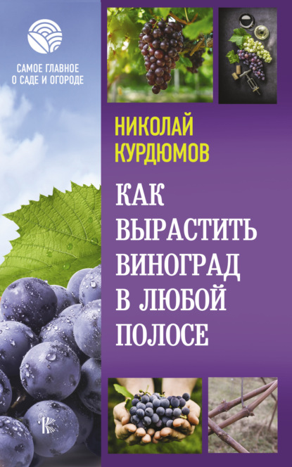 Николай Иванович Курдюмов - Как вырастить виноград в любой полосе