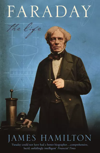 Обложка книги Faraday: The Life, James  Hamilton