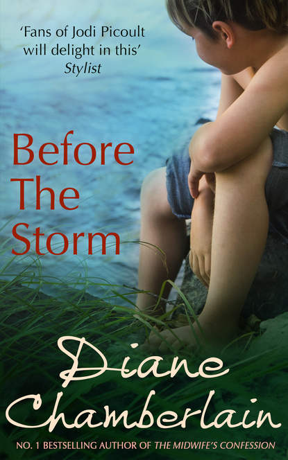Diane  Chamberlain - Before the Storm