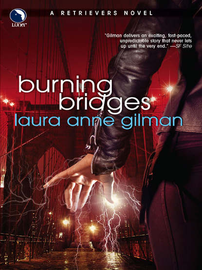 Laura Anne Gilman - Burning Bridges
