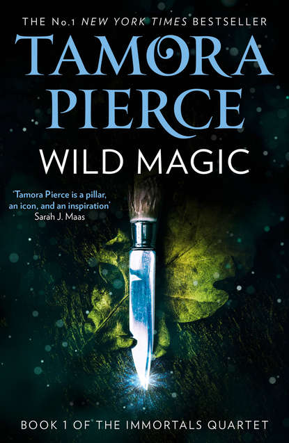Tamora  Pierce - Wild Magic