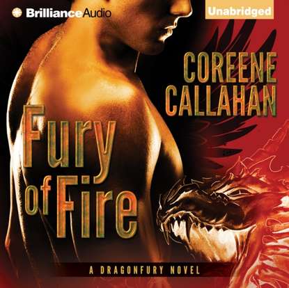 

Fury of Fire