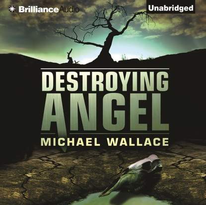 Michael Wallace — Destroying Angel