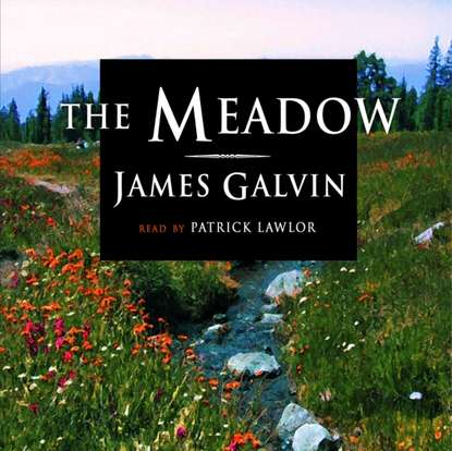 James Galvin - Meadow